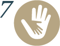 logo categoria 7